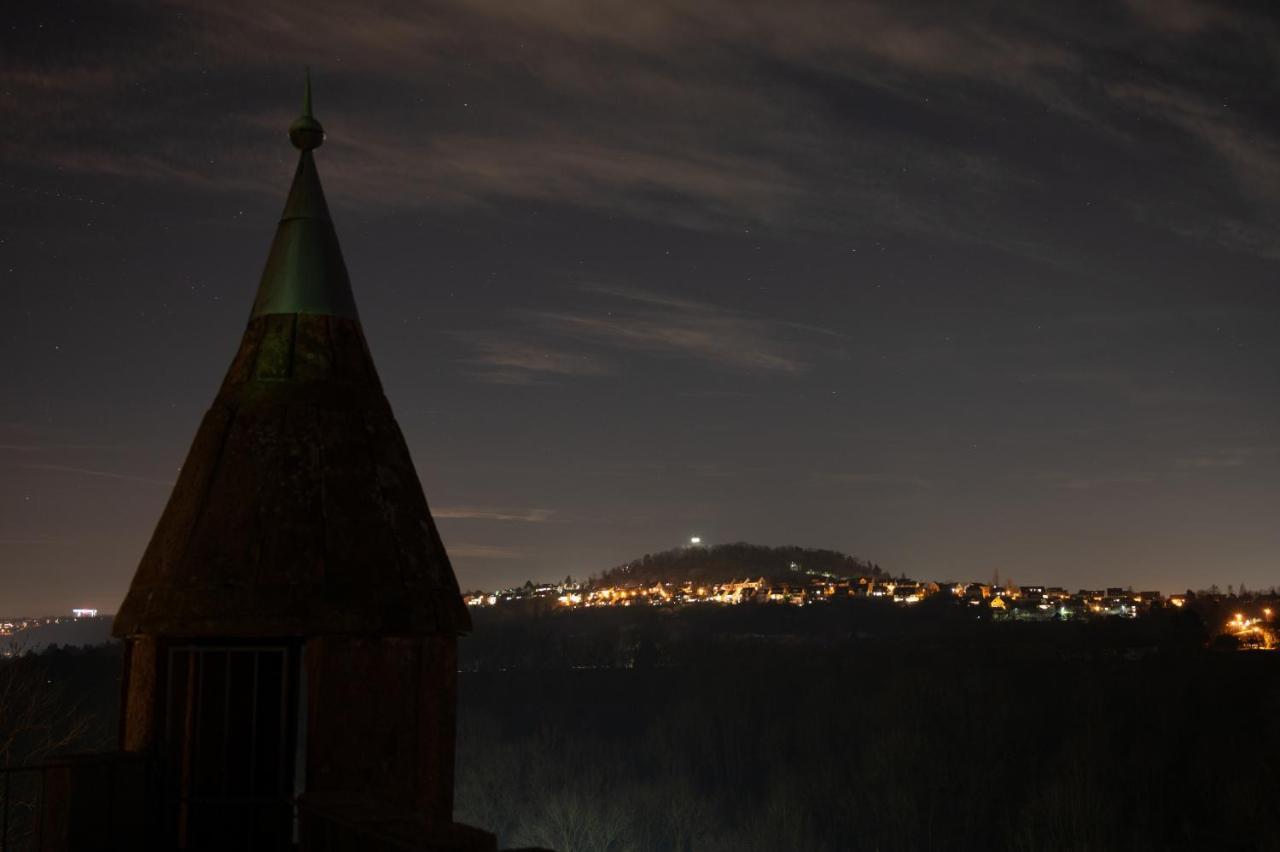 Schlosshotel Hoefingen Leonberg Bagian luar foto